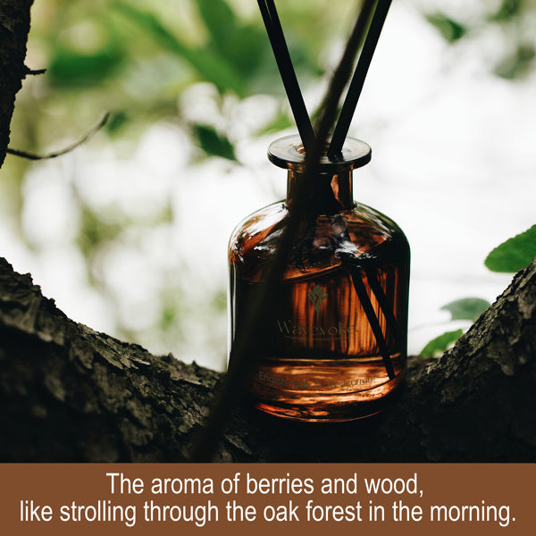 Aromatherapy Reed Diffuser – Glass Fragrance Bottle with Natural Sticks for Home & Office Air Freshening