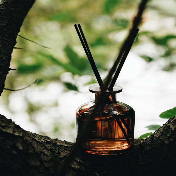 Aromatherapy Reed Diffuser – Glass Fragrance Bottle with Natural Sticks for Home & Office Air Freshening